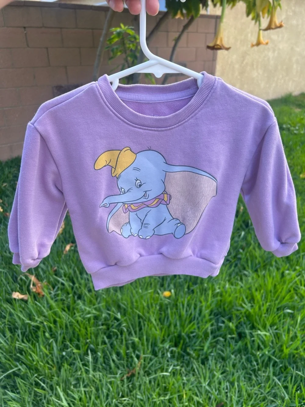 GAP Lavender Crewneck Sweatshirt with Dumbo Graphic and Yellow Hat